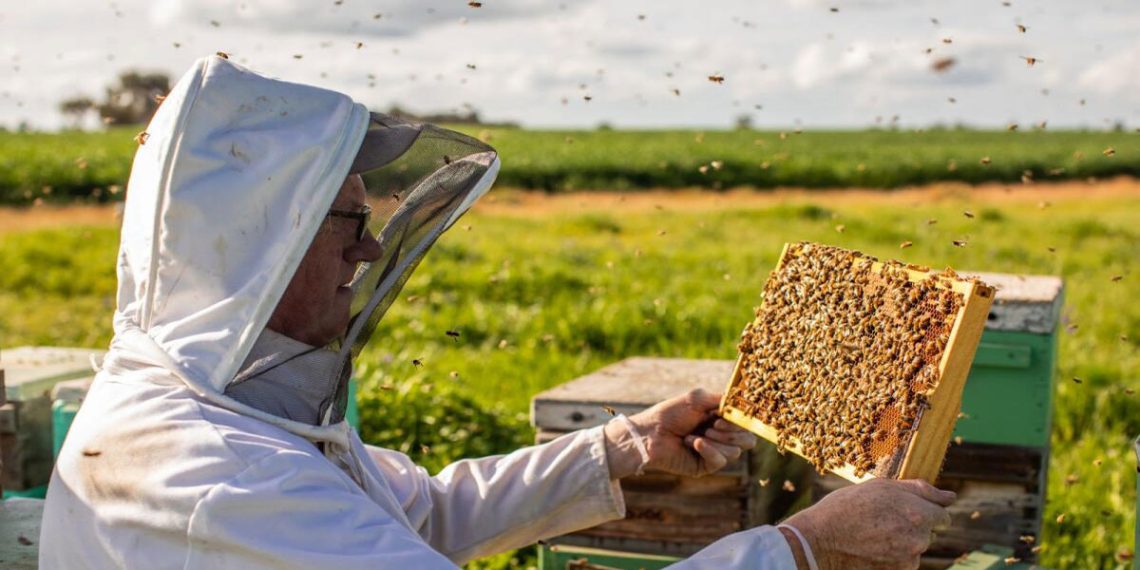 زنبورداری صنعتی 118فایل