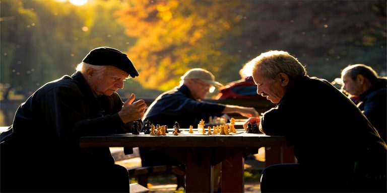 شطرنج برای سالمندان 118فایل