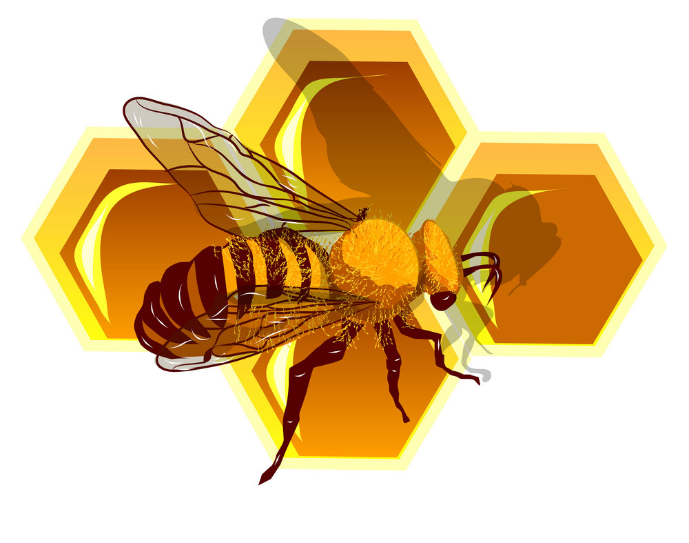 موم زنبور عسل عکس وکتور 118فایل