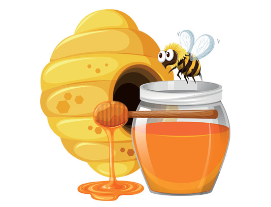 معرفی دوره آموزشی زنبورداری-118فایل