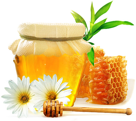 تولید عسل-118فایل