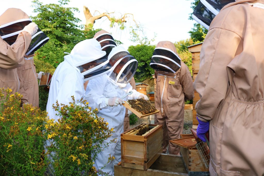 حرفه زنبورداری-118فایل