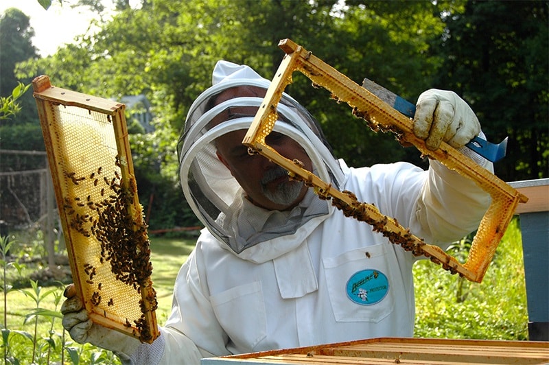معرفی دوره کاربردی در آموزش زنبورداری-118فایل