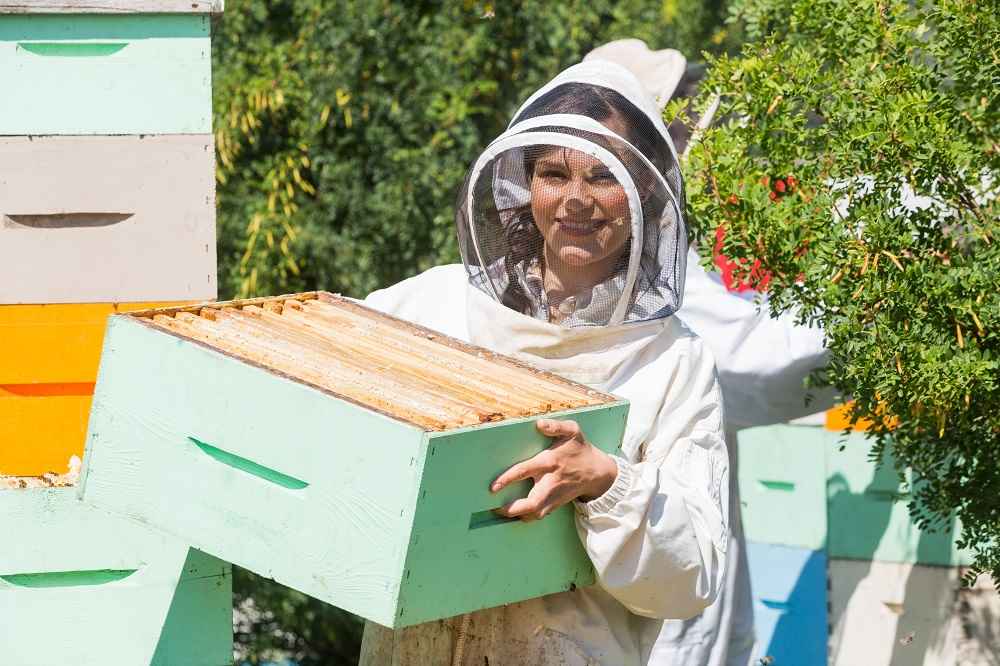 کسب درآمد از زنبورداری در تمام سال-118فایل