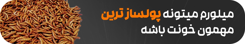 اموزش پرورش میلورم