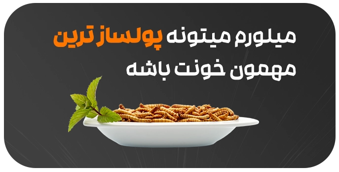 اموزش پرورش میلورم